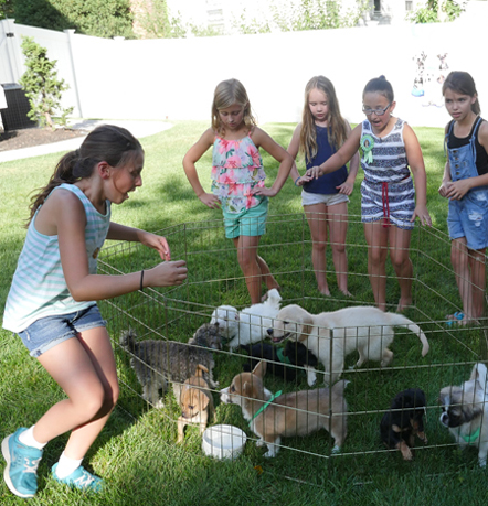 CHILDRENS-PARTY