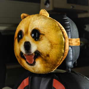 Pomeranian Face Car Headrest