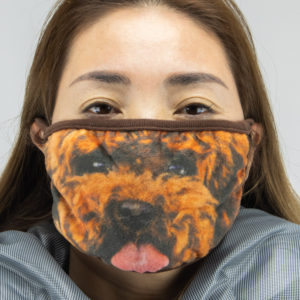 face masks (red poodle)