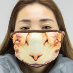 Face mask (Orange Cat)
