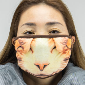 Face mask (Orange Cat)
