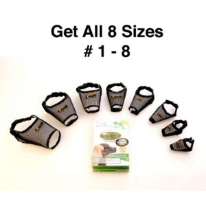 Set of Eight Sure Fit