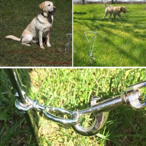 Dog Tie Out Stake Examples